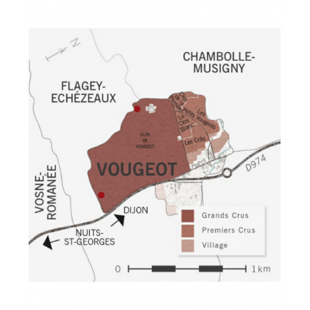 Clos Vougeot Grand Crü 2016 - Bouchard Père & Fils