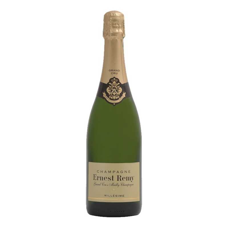 Champagne Extra-Brut Blanc de Noirs Grand Cru 2013 - Ernest Remy