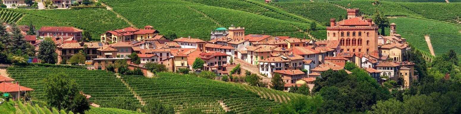 Barolo Red Wines | Discover Our Selection